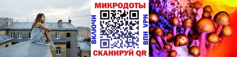 закладки  Мосальск  Псилоцибиновые грибы мухоморы 