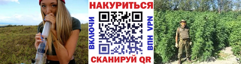 где купить наркоту  гидра рабочий сайт  Шишки марихуана план  Мосальск 